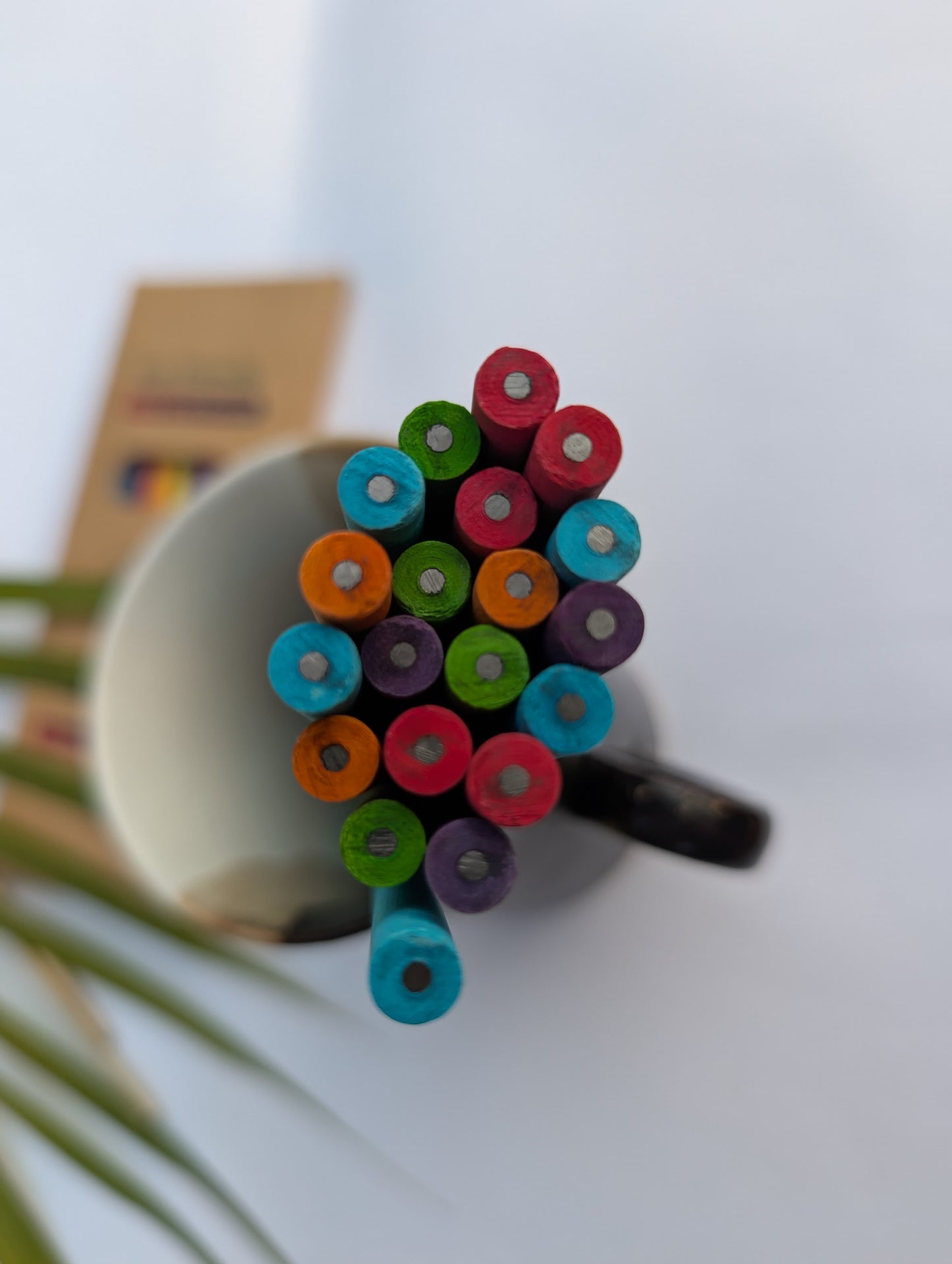 Plantable seed Pencil  - Eco-Friendly Writing Tools for a Greener World